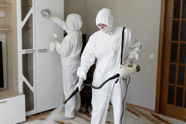 Trusted Hoarding Cleanup service in Fortescue, NJ - Four Month Blood Cleanse